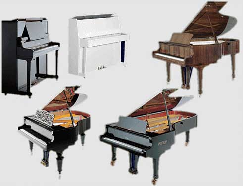 В чем разница между пианино, роялем и фортепиано